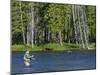 Fly Fishing the Madison River in Yellowstone National Park, Montana, Usa-David R. Frazier-Mounted Photographic Print