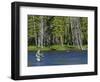 Fly Fishing the Madison River in Yellowstone National Park, Montana, Usa-David R. Frazier-Framed Photographic Print