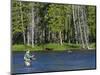 Fly Fishing the Madison River in Yellowstone National Park, Montana, Usa-David R. Frazier-Mounted Photographic Print