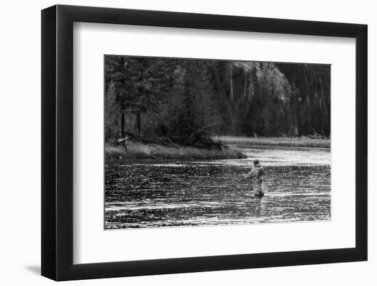 Fly Fishing Yellowstone WY B W-Steve Gadomski-Framed Photographic Print