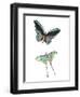 Fly Free 1-Kimberly Allen-Framed Art Print