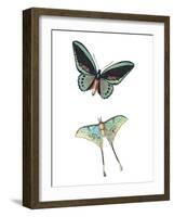 Fly Free 1-Kimberly Allen-Framed Art Print