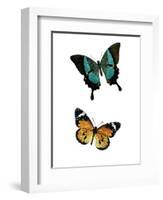 Fly Free 2-Kimberly Allen-Framed Art Print