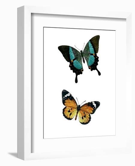 Fly Free 2-Kimberly Allen-Framed Art Print