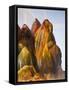 Fly Geyser, Black Rock Desert, Nevada, USA-Cathy & Gordon Illg-Framed Stretched Canvas