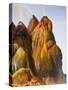 Fly Geyser, Black Rock Desert, Nevada, USA-Cathy & Gordon Illg-Stretched Canvas