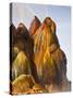 Fly Geyser, Black Rock Desert, Nevada, USA-Cathy & Gordon Illg-Stretched Canvas