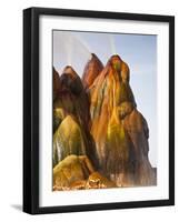 Fly Geyser, Black Rock Desert, Nevada, USA-Cathy & Gordon Illg-Framed Photographic Print