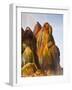 Fly Geyser, Black Rock Desert, Nevada, USA-Cathy & Gordon Illg-Framed Photographic Print