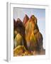 Fly Geyser, Black Rock Desert, Nevada, USA-Cathy & Gordon Illg-Framed Photographic Print