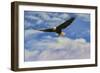 Fly High Bald Eagle-Jai Johnson-Framed Premium Giclee Print