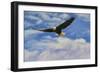 Fly High Bald Eagle-Jai Johnson-Framed Premium Giclee Print