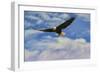 Fly High Bald Eagle-Jai Johnson-Framed Premium Giclee Print