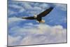 Fly High Bald Eagle-Jai Johnson-Mounted Premium Giclee Print