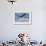 Fly High Bald Eagle-Jai Johnson-Framed Giclee Print displayed on a wall
