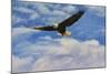 Fly High Bald Eagle-Jai Johnson-Mounted Giclee Print