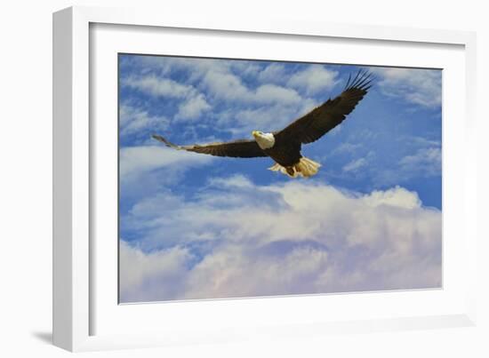 Fly High Bald Eagle-Jai Johnson-Framed Giclee Print