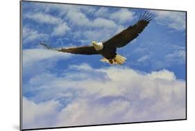 Fly High Bald Eagle-Jai Johnson-Mounted Giclee Print