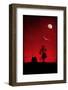 Fly High-Philippe Sainte-Laudy-Framed Photographic Print