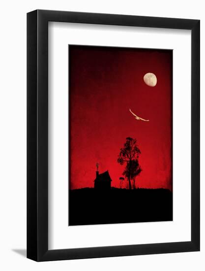 Fly High-Philippe Sainte-Laudy-Framed Photographic Print