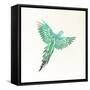 Fly High-Jace Grey-Framed Stretched Canvas