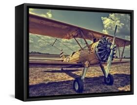 Fly Me-Stephen Arens-Framed Stretched Canvas
