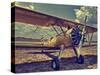 Fly Me-Stephen Arens-Stretched Canvas