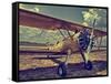 Fly Me-Stephen Arens-Framed Stretched Canvas