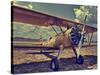 Fly Me-Stephen Arens-Stretched Canvas