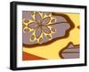 Fly to Amoeba-Belen Mena-Framed Giclee Print