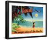 Fly to Hawaii-null-Framed Giclee Print