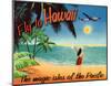 Fly to Hawaii-null-Mounted Giclee Print