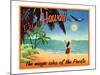 Fly to Hawaii-null-Mounted Giclee Print