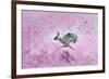 Fly with Hare-Claire Westwood-Framed Premium Giclee Print