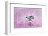 Fly with Hare-Claire Westwood-Framed Art Print