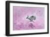 Fly with Hare-Claire Westwood-Framed Art Print