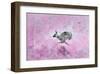 Fly with Hare-Claire Westwood-Framed Art Print