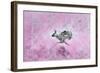 Fly with Hare-Claire Westwood-Framed Art Print