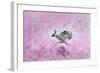 Fly with Hare-Claire Westwood-Framed Art Print