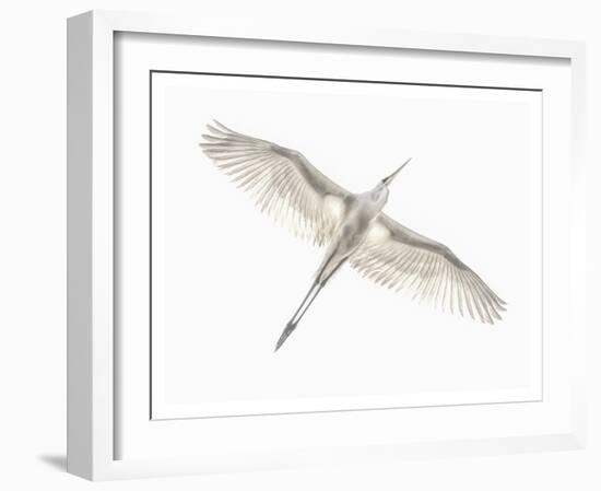 Fly-Keren Or-Framed Giclee Print