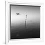 Fly-Moises Levy-Framed Photographic Print