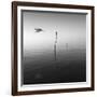 Fly-Moises Levy-Framed Photographic Print