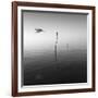 Fly-Moises Levy-Framed Photographic Print