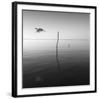 Fly-Moises Levy-Framed Photographic Print