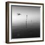 Fly-Moises Levy-Framed Photographic Print