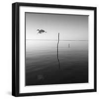 Fly-Moises Levy-Framed Photographic Print