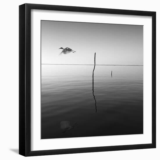 Fly-Moises Levy-Framed Photographic Print