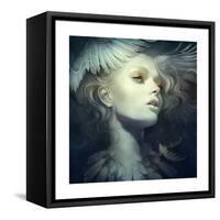 Fly-Anna Dittman-Framed Stretched Canvas