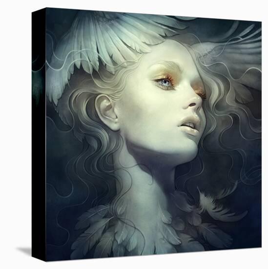 Fly-Anna Dittman-Stretched Canvas