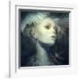 Fly-Anna Dittman-Framed Art Print